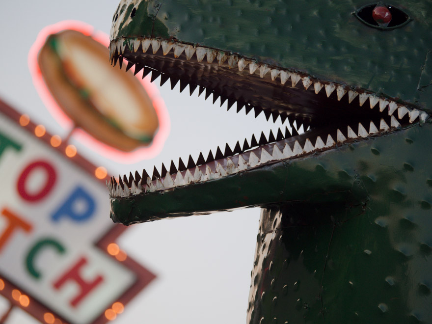 Dinosaur eating food
