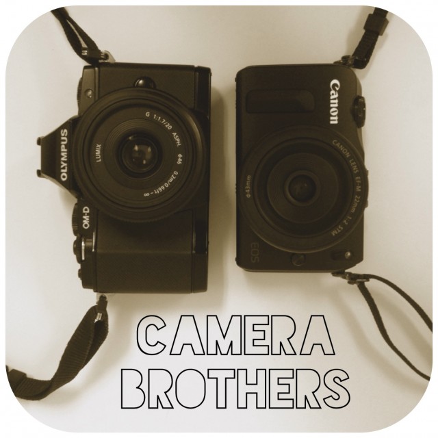 OMD EM5 vs Canon EOS M size