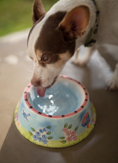 Sigma 35mm 1.4 Art Lens - DOF @ f1.4