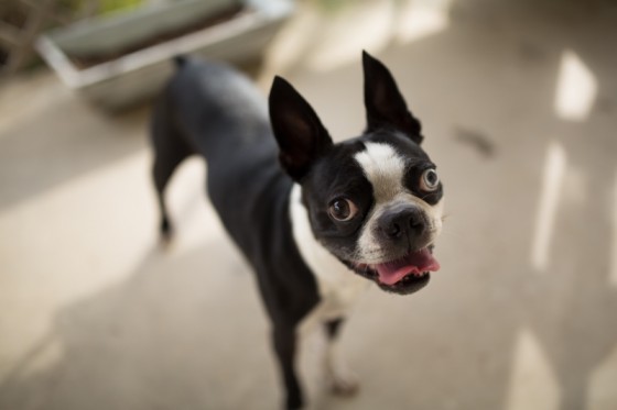 Sigma 35mm 1.4 Art Lens - DOF @ f1.4