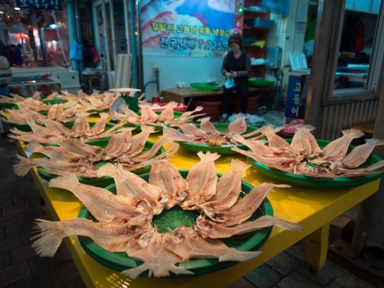 Fish Stall in a Korean food market