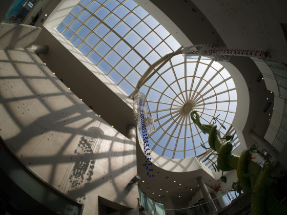 Korea - Jeju Island Glass Museum - Beanstalk - corrected fisheye image