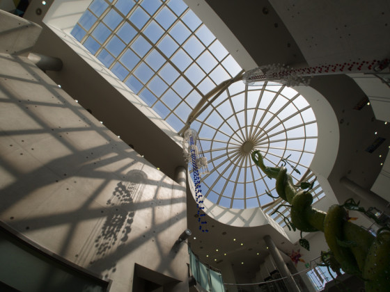 Korea - Jeju Island Glass Museum - Beanstalk - fisheye