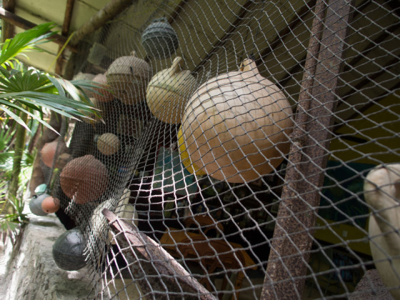 Mexican fishing nets